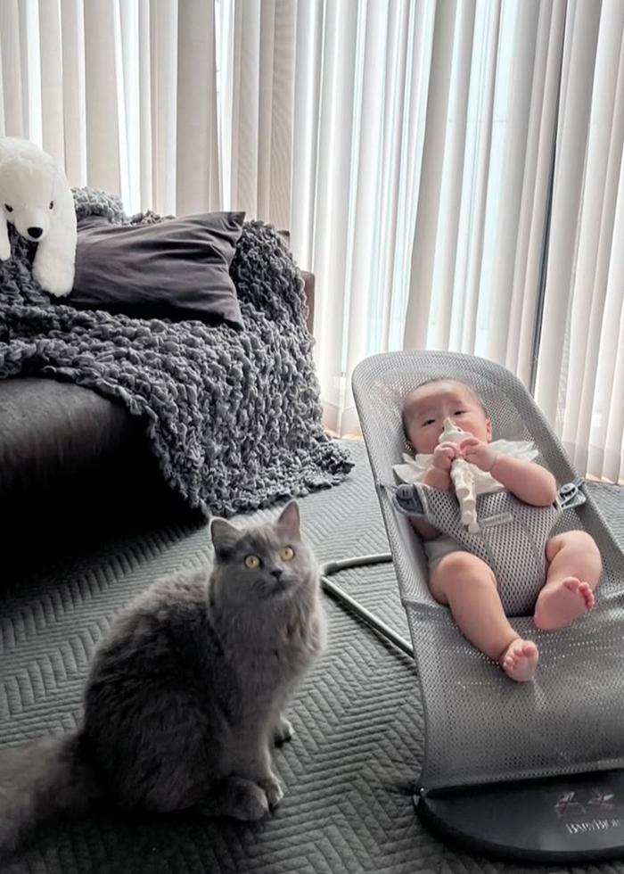everyones enjoy bouncing BabyBjörn