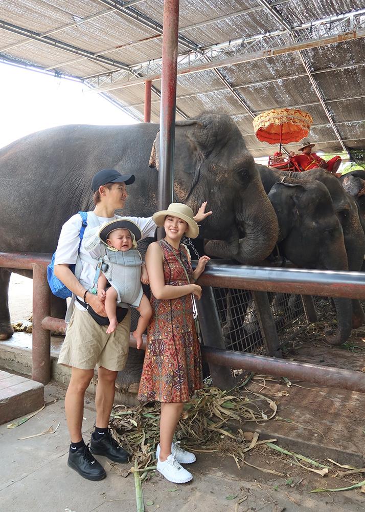 A family with a baby in a carrier stands near elephants in an enclosure. The woman touches an elephant's trunk while smiling.
