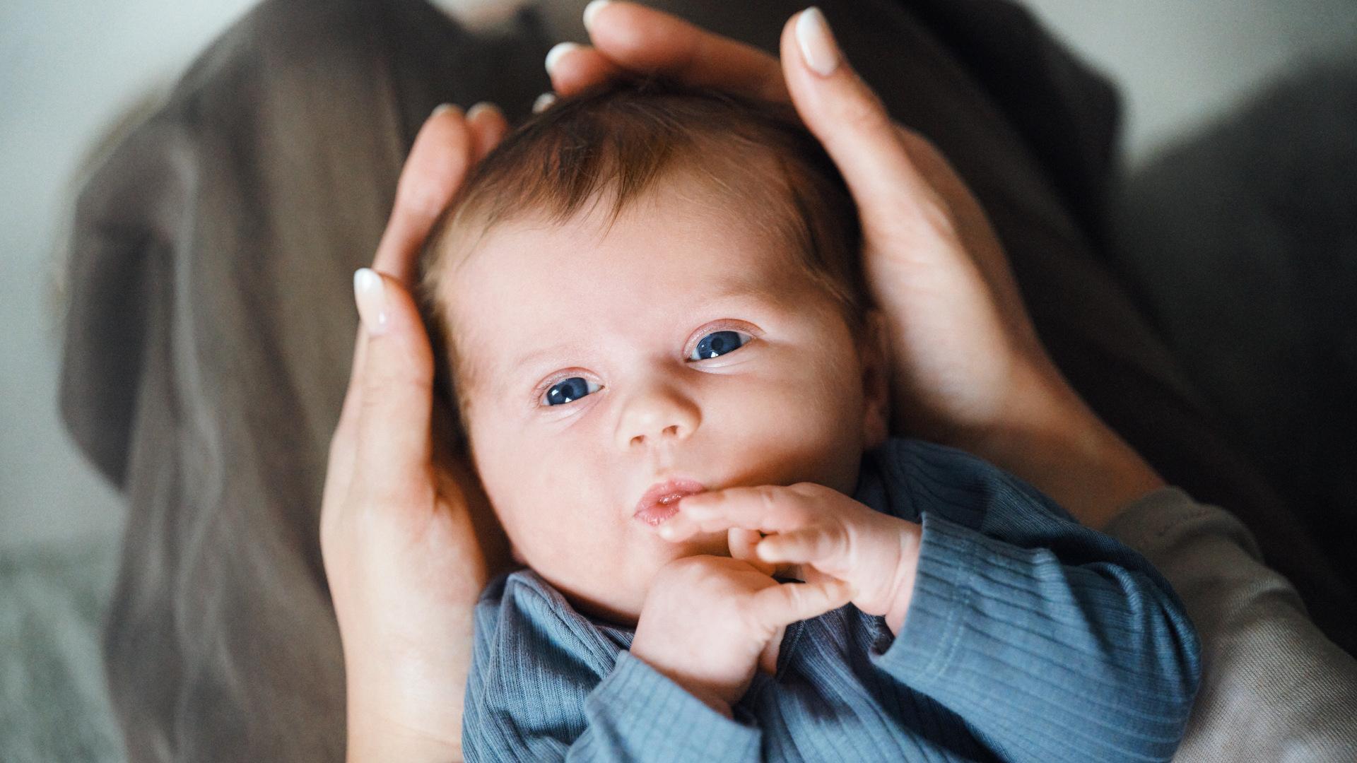 A baby wearing a blue outfit lies cradled in hands, gazing upwards with bright eyes, against a soft, neutral background.